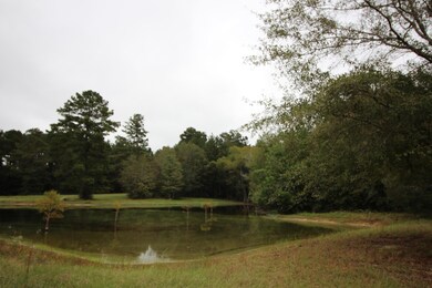 Part of this pond on property