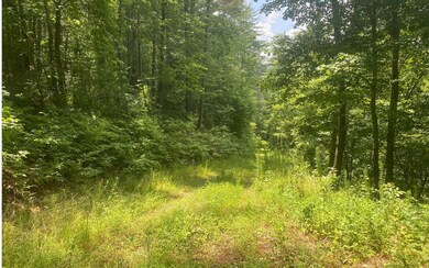 Additional View