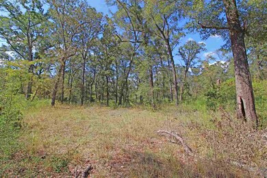 0 Shadeville Rd, Crawfordville, FL 32327 - photo 5