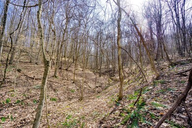 33996 W Buckingham Rd, Logan, OH 43138 - photo 7