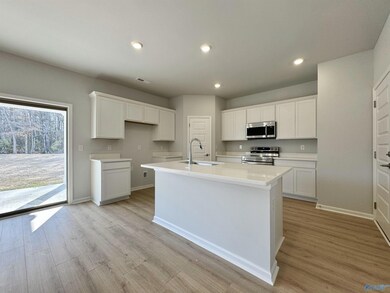 148 Lillian Farms Blvd, Huntsville, AL 35811 - photo 5