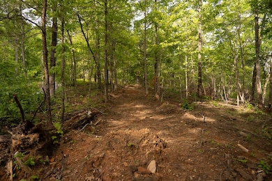 Tract 1 Century Ln, Blue Ridge, GA 30513 - photo 7