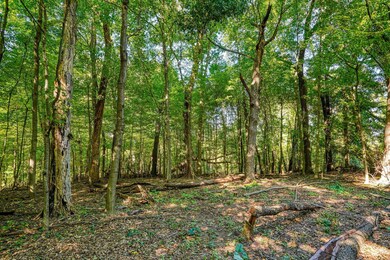 8438 Benson Rd NW (30)