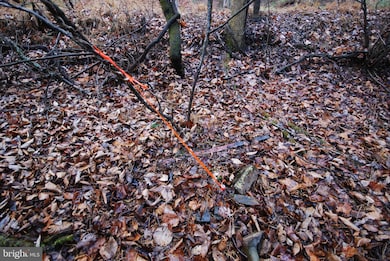 Lot 29 & 30 Staubwoods Dr, Romney, WV 26757 - photo 3