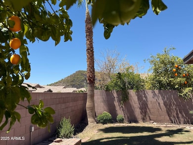 20644 N 41st Ave, Glendale, AZ 85308 - photo 6