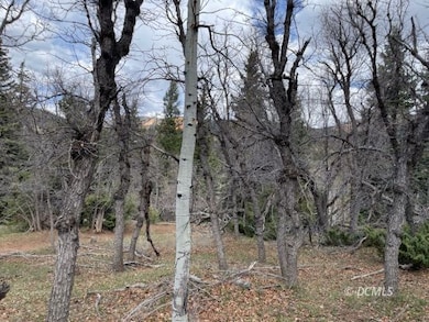Gentle slope/level area & peekaboo view