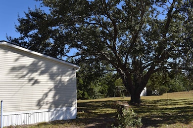 4862 NE Bellville Rd, Pinetta, FL 32350 - photo 2