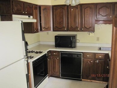 412 N Barnes St, Mason, MI 48854 - photo 4