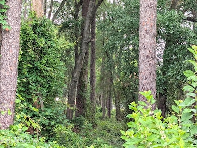 00 SE 1st Ave, Keystone Heights, FL - photo 4