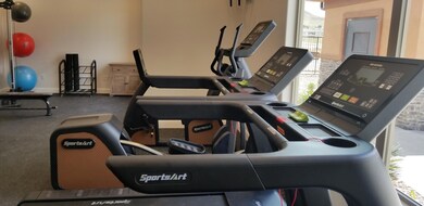 ZV Fitness Aerobic 2