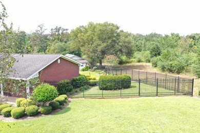 Fenced back yard