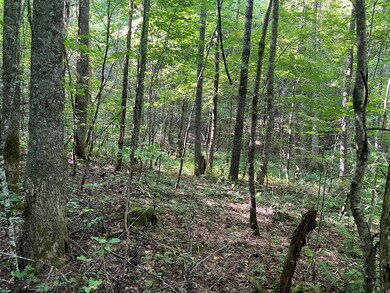 0 R J Mountain View Dr unit 154256, Murphy, NC 28906 - photo 6