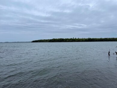 IMG_5593