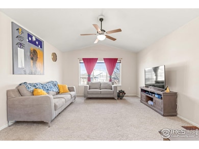 206 Windflower Way, Severance, CO 80550 - photo 6