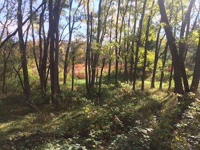 L1-2 Rome Corners Rd, Oregon, WI 53521 - photo 2