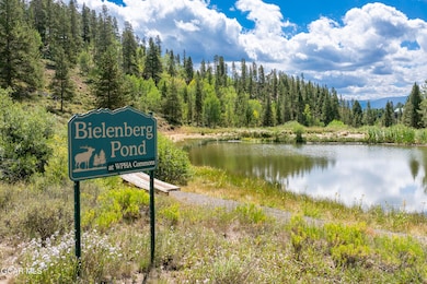 113 Elk Park Trail, Tabernash, CO 80478 - photo 2