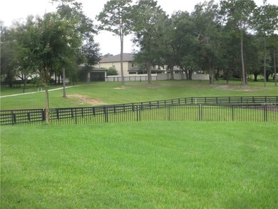 30640 Lipizzan Terrace, Mount Dora, FL 32757 - photo 5