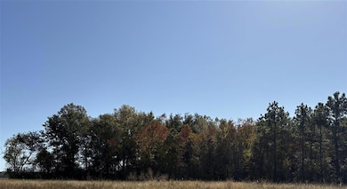 TBD Bucklin Rd, Jennings, LA 70546 - photo 5