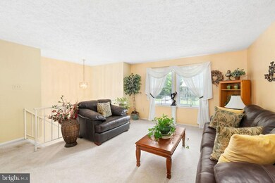 3400 Hawthorne Rd, Fredericksburg, VA 22407 - photo 3