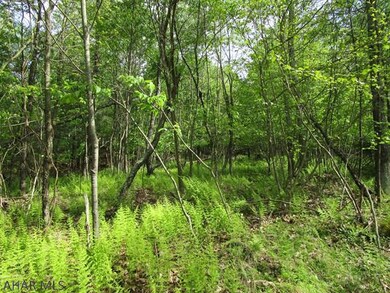 Off Imlertown Rd, Bedford Township, PA 15522 - photo 5