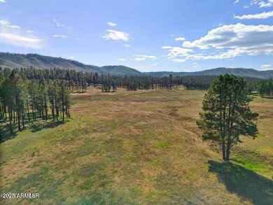 1A Forest Road 26 --, Alpine, AZ 85920 - photo 7