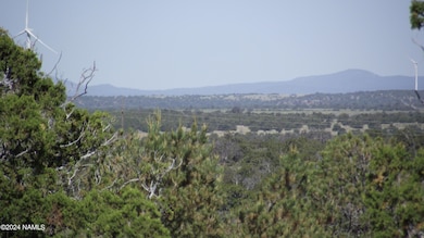 837 E Jackpine Ln unit 47, Williams, AZ 86046 - photo 5