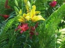 18 Center Ave, North Tonawanda, NY 14120 - photo 4