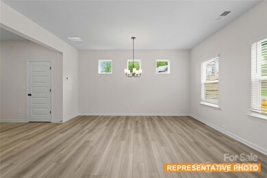 6025 Jasmine Branch Rd, Charlotte, NC 28216 - photo 7