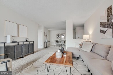 1325 18th St NW unit 301, Washington, DC 20036 - photo 3