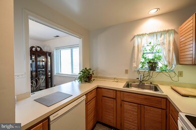 11 Paladin Dr unit 11, Wilmington, DE 19802 - photo 6