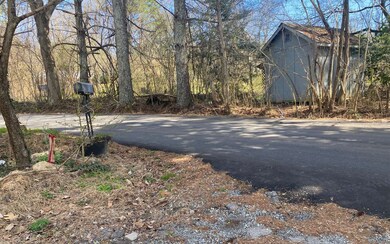 Additional View