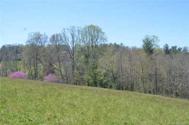 7 Brookside Dr unit 13, Asheville, NC 28806 - photo 3