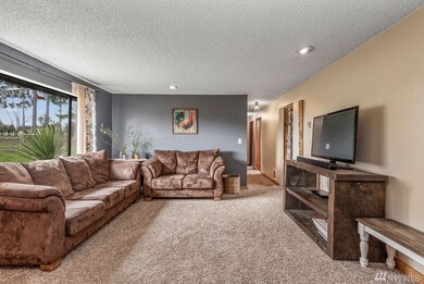 459 Roe Rd, Winlock, WA 98596 - photo 5