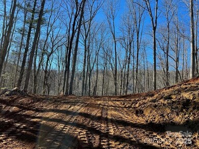 999999 N Pointe Dr unit 1, Zirconia, NC 28790 - photo 5