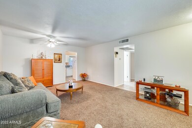 10927 W Santa fe Dr unit 14, Sun City, AZ 85351 - photo 6