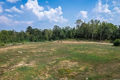 113 Shepherd Loop Dr, Arkadelphia, AR 71923 - photo 2