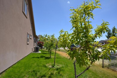 DSC_7180