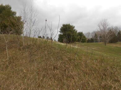 000 Polar Rd, Bryant, WI 54418 - photo 2