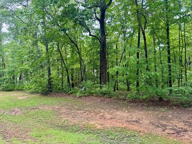 Lot 94 Doll Mountain Rd, Ellijay, GA 30540 - photo 6