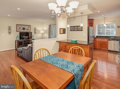 The West Village of Shirlington unit 404, Arlington, VA 22204 - photo 4