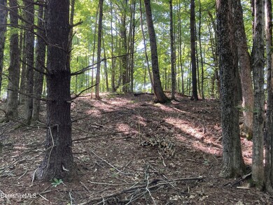 unlisted-address, Cummington, MA 01026 - photo 2