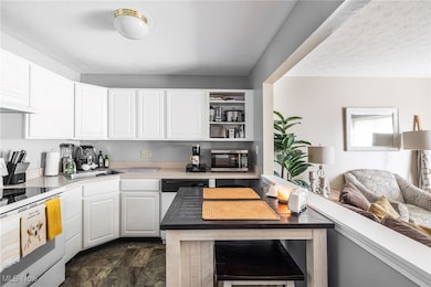 865 Overlook Ridge Dr unit 9F, Cleveland, OH 44109 - photo 3