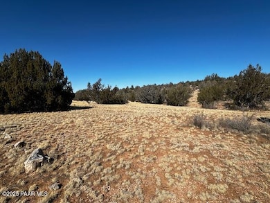 32412 Ancho Rd, Seligman, AZ 86337 - photo 3