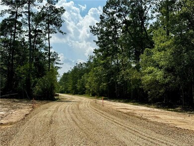Lot 2 Ranchero Rd, Covington, LA 70435 - photo 5