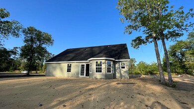 4076 Hamp-Ned Rd, Conway, SC 29526 - photo 3