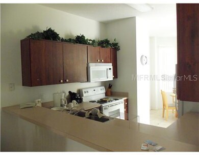 1200 South Beach Cir, Kissimmee, FL 34746 - photo 3