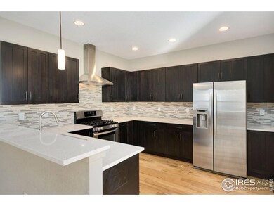 538 Cajetan St, Fort Collins, CO 80524 - photo 7