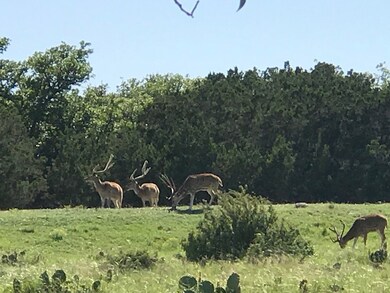 unlisted-address, Rocksprings, TX 78880 - photo 7