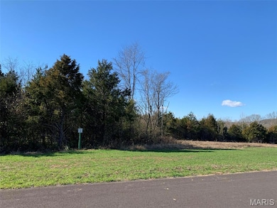 667 Highland St, Pacific, MO 63069 - photo 2