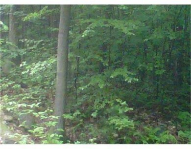 Lot B Munn Rd, Monson, MA 01057 - photo 2